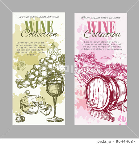 Wine Vineyard Label Setのイラスト素材 [96444637] - PIXTA