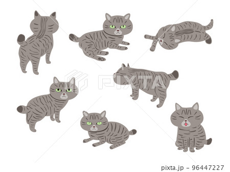 キジねこイラスト01 96447227