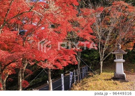 紅葉見頃な吉野神宮 紅葉見頃な吉野神宮 96449316