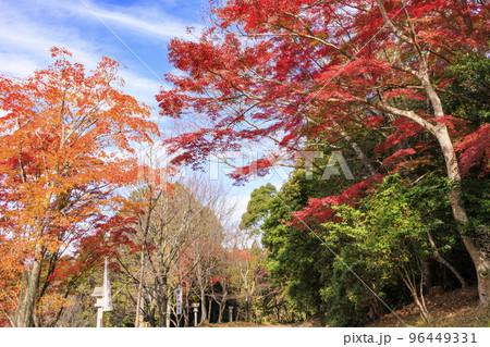 紅葉見頃な吉野神宮 96449331
