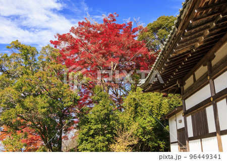紅葉見頃な吉野神宮 96449341