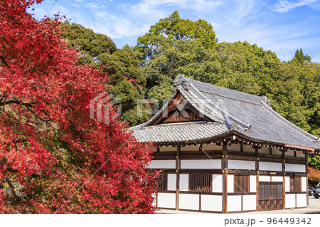 紅葉見頃な吉野神宮 紅葉見頃な吉野神宮 96449342