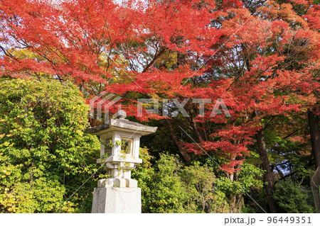 紅葉見頃な吉野神宮 96449351
