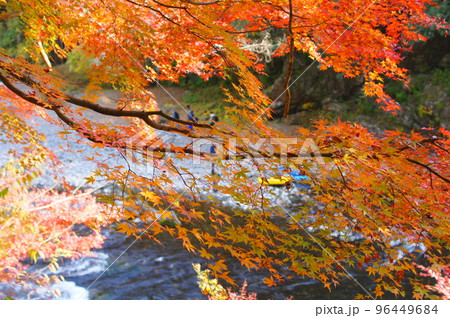 御岳渓谷の紅葉 2022 御岳渓谷の紅葉 2022 96449684