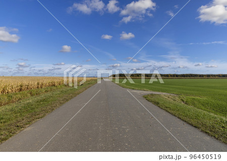 A straight highway without cars A straight highway without cars 96450519