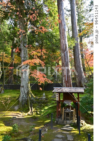 湖東三山西明寺内の龍神社 湖東三山西明寺内の龍神社 96451143