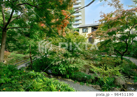 東京都練馬区向山の練馬区立向山庭園 東京都練馬区向山の練馬区立向山庭園 96451190
