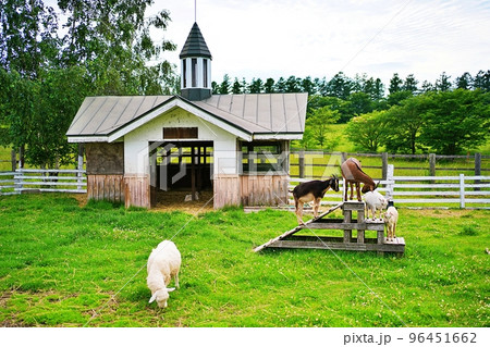 ファームズ千代田 ふれあい牧場 (北海道美瑛町) ファームズ千代田 ふれあい牧場 (北海道美瑛町) 96451662