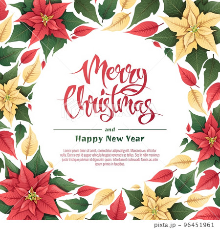 Background with red and yellow poinsettia. Christmas card, poster with festive floral decor. Vector botanical illustration for New Year and Christmas Background with red and yellow poinsettia. Christmas card, poster with festive floral decor. Vector botanical illustration for New Year and Christmas 96451961
