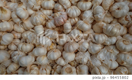 Background made of raw garlic Background made of raw garlic 96455802