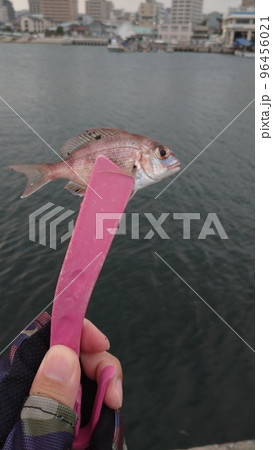 釣れたチャリコ 釣れたチャリコ 96456021