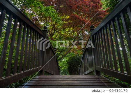 Wooden bridge over the creek in a garden. Wooden bridge over the creek in a garden. 96456176