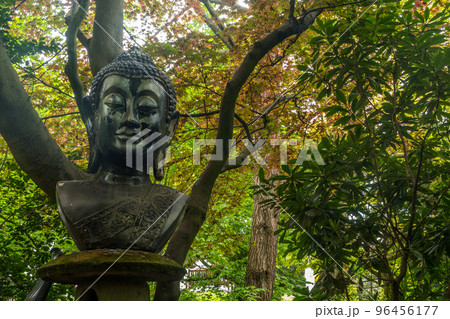 Buddha statue among nature at a garden. Buddha statue among nature at a garden. 96456177