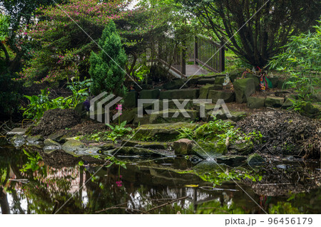 Stone, wooden bridges and swamps in the garden Stone, wooden bridges and swamps in the garden 96456179