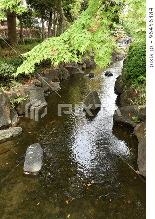 江戸川親水公園、東京江戸川区 96456884