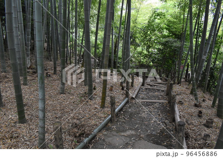 武者小路実篤公園、東京調布市 96456886