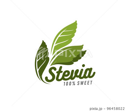 Stevia leaves icon. Stevia natural sweetener minimalistic emblem or sign, organic food store or shop simple vector symbol. Stevia product minimalistic icon with green leaves 96458022