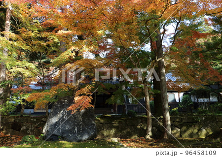 清水寺本坊庭園の紅葉 96458109