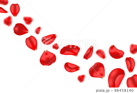Flying rose petals vector background of wedding invitation or valentines day greetings. Realistic red flower petals flow, blossom blooming floral elements on white background 96458140