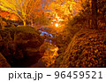 ライトアップされた紅葉が池に反射している庭園 96459521