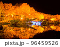 桜山公園のライトアップされた紅葉と池 96459526