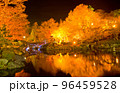 桜山公園のライトアップされた紅葉と池2 96459528