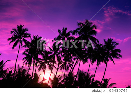 Vivid purple sunset on tropical beach with coconut palm trees silhouettes 96459745