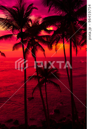 Coconut palm trees on tropical ocean beach at dusk after colorful sunset 96459754