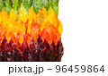 Colorful autumn leaves gradient border, fall foliage frame isolated on white background top view 96459864