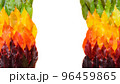 Colorful autumn leaves gradient border, fall foliage frame isolated on white background top view 96459865