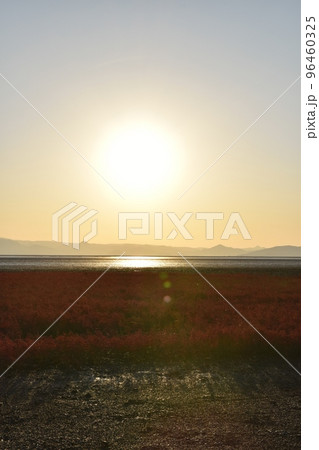 夕暮れの干潟よか公園 佐賀 夕暮れの干潟よか公園 佐賀 96460325