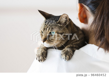 抱っこされるキジトラ猫 96460452