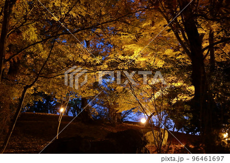 Fujioka City, Sakurayama Park Illumination - Stock Photo