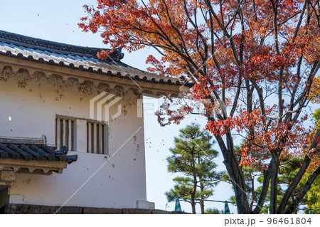 【紅葉】秋の大阪城公園【青屋門】 【紅葉】秋の大阪城公園【青屋門】 96461804