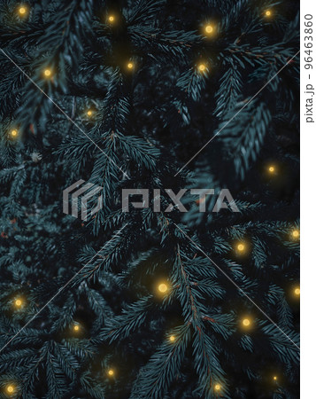 Christmas tree fluffy branches with gold shiny lights. Festive Xmas border of green branch of pine. Pattern spruce branch. New Year vertical background with space for text. Christmas wallpaper or Christmas tree fluffy branches with gold shiny lights. Festive Xmas border of green branch of pine. Pattern spruce branch. New Year vertical background with space for text. Christmas wallpaper or 96463860