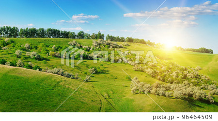 meadow with distant hills, trees and cloudy sky. Wide photo. meadow with distant hills, trees and cloudy sky. Wide photo. 96464509