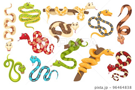 Cartoon snakes in various poses. Anaconda mascot, cute snake and funny tropical reptile vector characters set 96464838