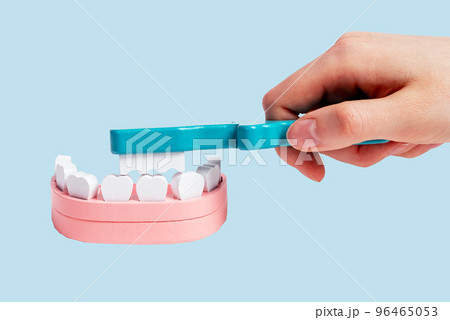 Hand cleaning teeth in jaw model with brush. Dental care, prevention of caries and periodontal disease, oral hygiene concept. Children game at dentist, skill learning 96465053