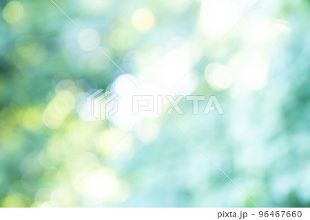 新緑、背景、緑、葉、自然、風景、ぼかし、植物、木漏れ日、新緑イメージ、背景合成用画像素材 新緑、背景、緑、葉、自然、風景、ぼかし、植物、木漏れ日、新緑イメージ、背景合成用画像素材 96467660