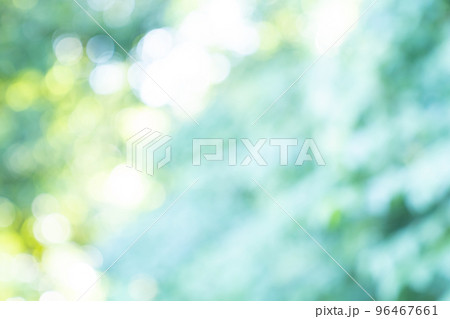 新緑、背景、緑、葉、自然、風景、ぼかし、植物、木漏れ日、新緑イメージ、背景合成用画像素材 96467661