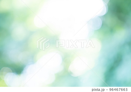 新緑、背景、緑、葉、自然、風景、ぼかし、植物、木漏れ日、新緑イメージ、背景合成用画像素材 新緑、背景、緑、葉、自然、風景、ぼかし、植物、木漏れ日、新緑イメージ、背景合成用画像素材 96467663