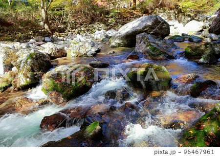 愛媛県　内子町　小田深山　秋 96467961