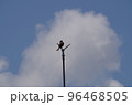 空と小鳥 96468505