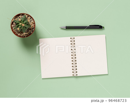 Blank notebook, pen and cactus over green background.  96468723