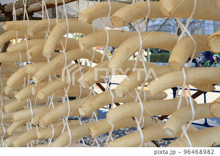 練馬大根のたくわん干し 漬物作り タクワン作り 練馬大根のたくわん干し 漬物作り タクワン作り 96468982