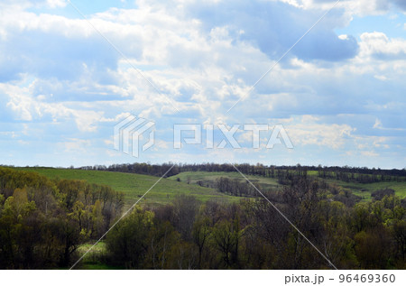 Panorama of the rural landscape in the early summer 96469360