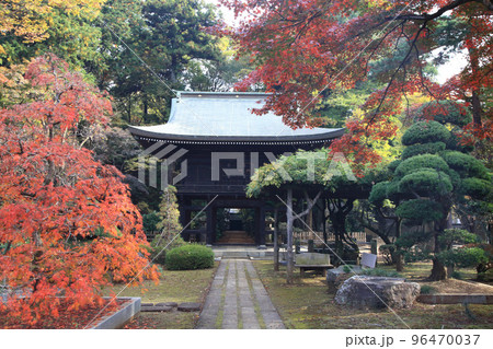 多福寺 紅葉 多福寺 紅葉 96470037