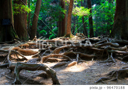 鞍馬寺 鞍馬寺 96470188