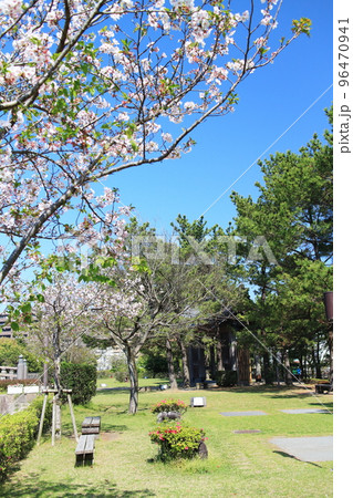 春の石橋公園の景色 春の石橋公園の景色 96470941