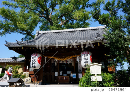 干支にまつわる神社～戌　伊奴神社　本殿 96471964